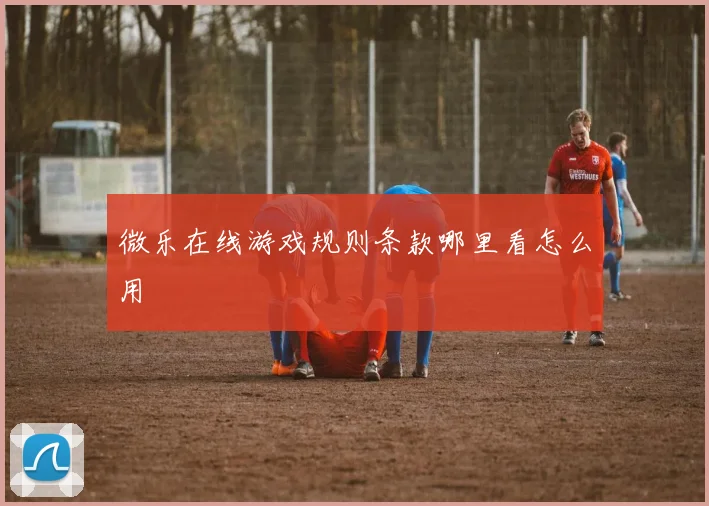 微乐在线游戏规则条款哪里看怎么用